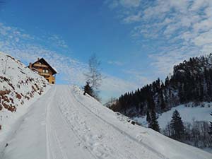 Cabana Varf de Bucovina