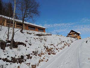 Cabana Varf de Bucovina