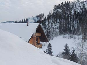 Cabana Varf de Bucovina