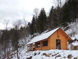 Cabana Varf de Bucovina