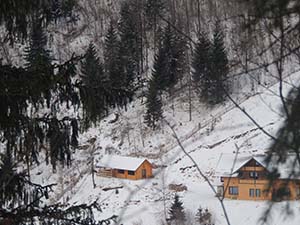 Cabana Varf de Bucovina