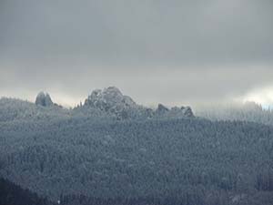 Cabana Varf de Bucovina